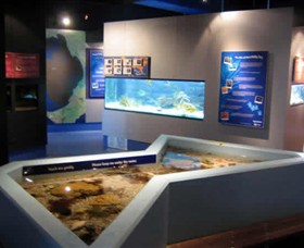Marine and Freshwater Discovery Centre - Accommodation Melbourne