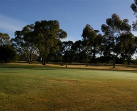Winchelsea Golf Club - Accommodation Melbourne